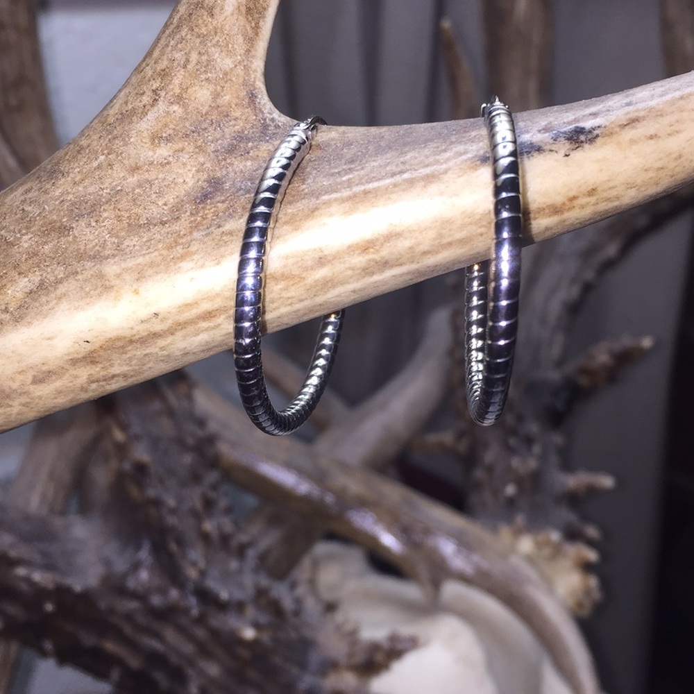 Stainless Steel Hoop Earrings